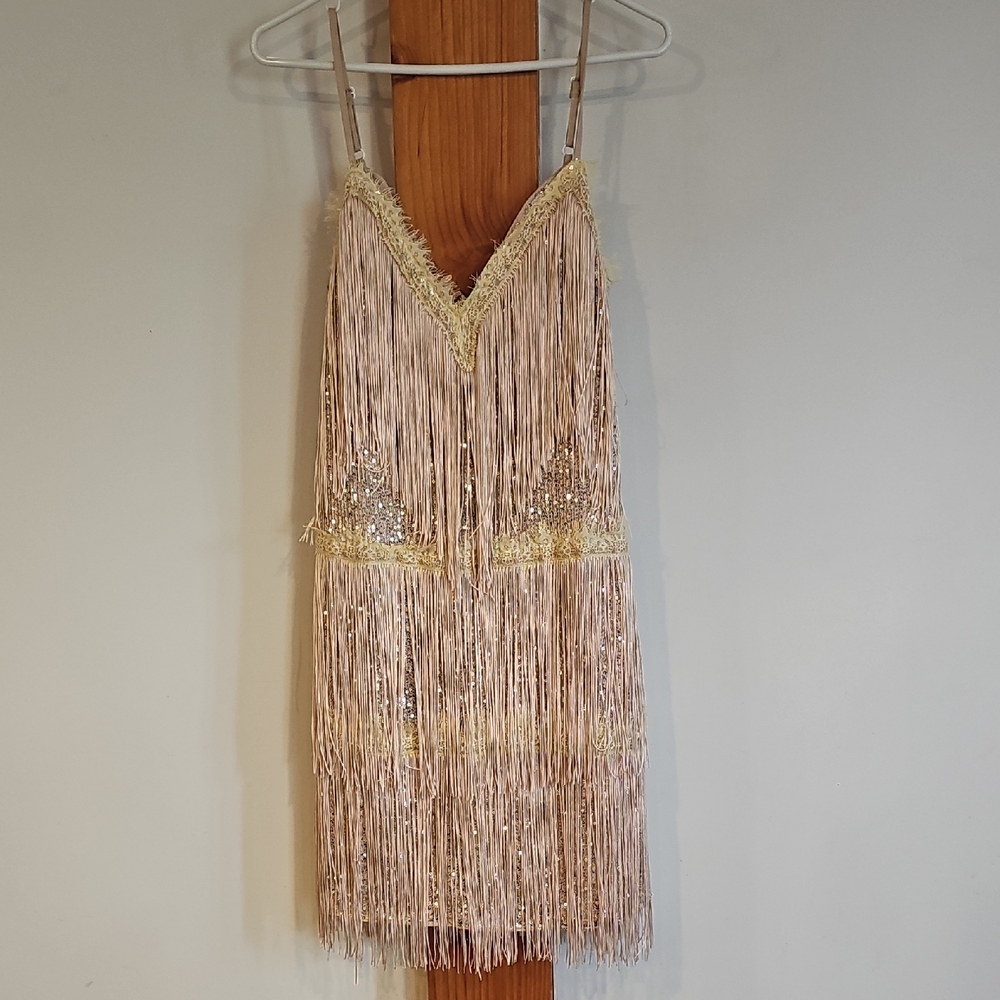 Nude and Gold Sequin Fringe Party Dress - Size Large